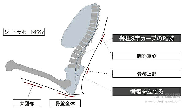 能够保持脊柱S曲线的座椅