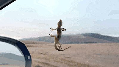 2018年与奥迪Q家族开启新境之旅 换一种方式打开自由