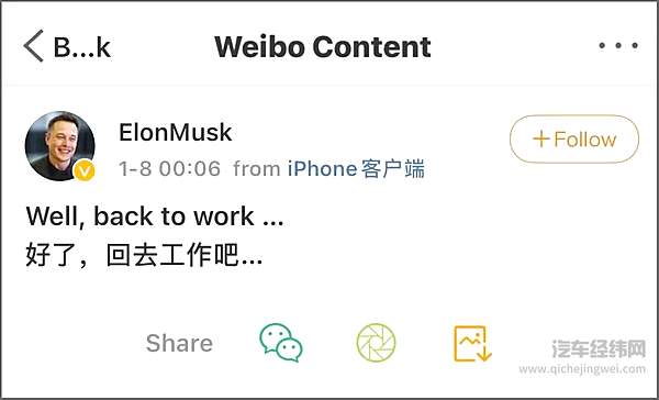 凡尔赛·马