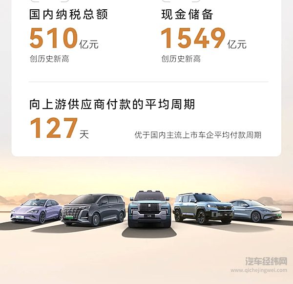 一图读懂比亚迪集团2024年全年业绩