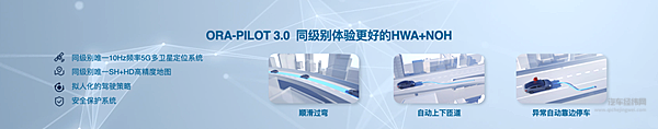 每种绽放都有力量 欧拉开启品牌进阶新姿态