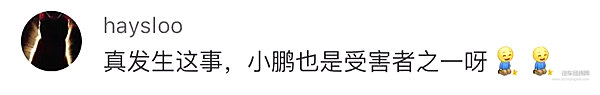 特斯拉起诉小鹏员工，考验网友三观的时候又到了