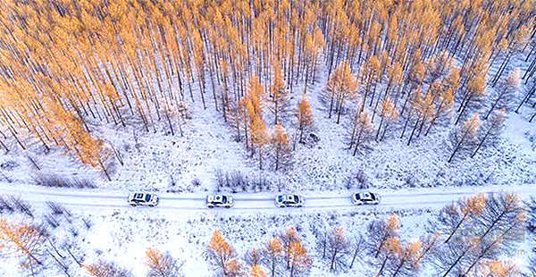 等不来北京的雪 福克斯跑去牙克石撒欢儿了！
