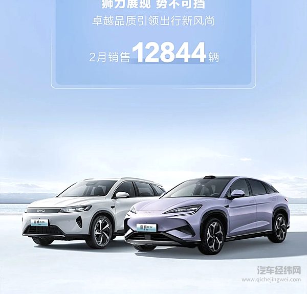 全民智驾共驭新程 海洋网2月销售152385辆